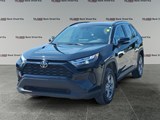 2024 Toyota RAV4 XLE image 1