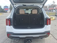2025 Kia Sorento X-Line Limited AWD w/Olive Brown Interior