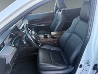 2024 Toyota Venza Limited AWD