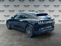 2022 Ford Mustang Mach-E GT Performance Edition