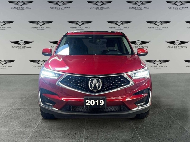 2019 Acura RDX Platinum Elite (A10)
