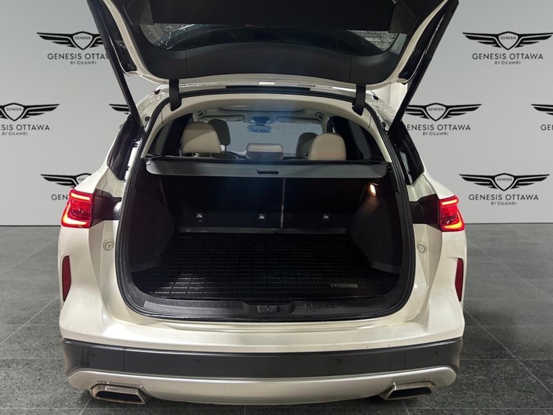 2020 INFINITI QX50 ProASSIST