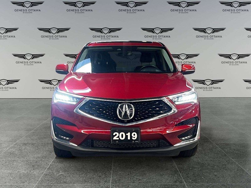 2019 Acura RDX Platinum Elite (A10)