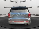 2023 Hyundai Palisade Ultimate Calligraphy image 4