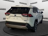 2022 Toyota RAV4 Hybrid Limited image 5