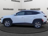 2024 Hyundai Tucson Trend image 2