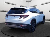 2023 Hyundai Tucson Hybrid Ultimate image 5