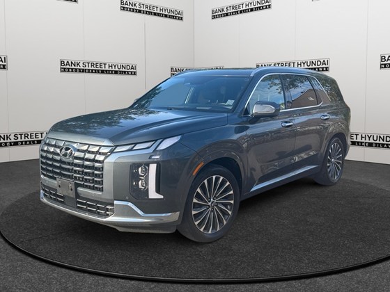 2023 Hyundai Palisade Ultimate Calligraphy