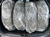 2019 Mazda CX-5 GS Auto FWD - Clean CarFax