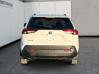 2019 Toyota RAV4 Hybrid AWD Hybrid LE