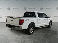 2025 Ford F-150 XLT 4WD SuperCrew 6.5' Box