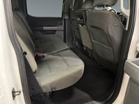 2025 Ford F-150 XLT 4WD SuperCrew 6.5' Box