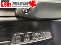 2024 Ford Ranger XLT 4WD SuperCrew 5' Box