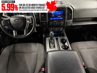 2019 Ford F-150 XLT 4WD SuperCrew 5.5' Box