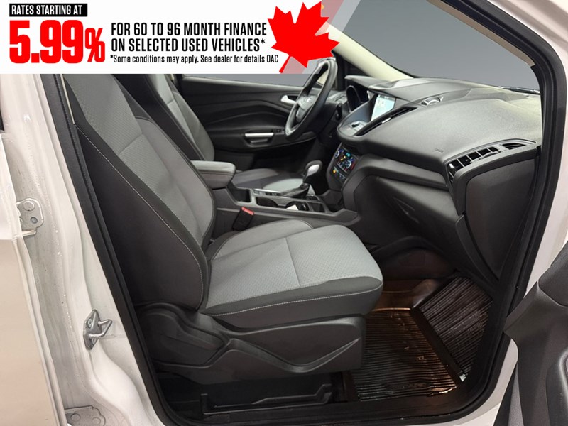 2019 Ford Escape SE 4WD