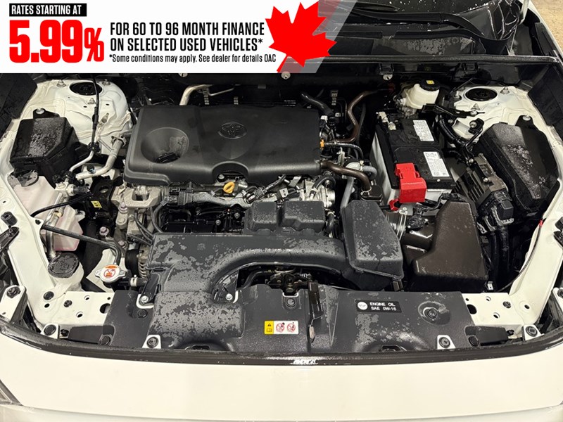 2024 Toyota RAV4 LE AWD