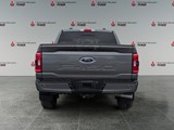 2023 Ford F-150 XLT image 4