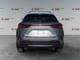 2022 Lexus NX 250 Base image 4