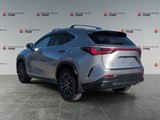 2022 Lexus NX 250 Base image 3