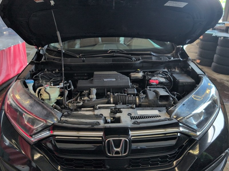 2020 Honda CR-V EX-L AWD