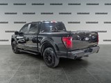 2024 Ford F-150 STX image 3