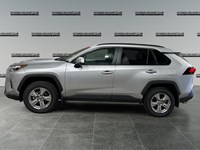 2025 Toyota RAV4 XLE AWD
