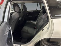 2025 Toyota RAV4 XLE AWD