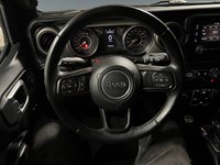 2020 Jeep Wrangler Unlimited Black and Tan 4x4