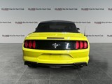 2021 Ford Mustang EcoBoost image 4