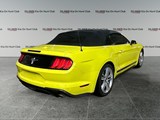 2021 Ford Mustang EcoBoost image 5