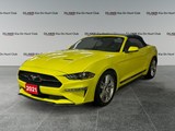 2021 Ford Mustang EcoBoost image 1