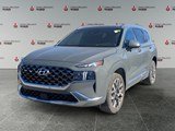 2023 Hyundai Santa Fe Ultimate Calligraphy image 1
