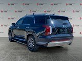 2025 Hyundai Palisade Ultimate Calligraphy image 3