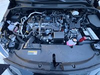 2024 Toyota Corolla Hybrid Hybrid LE CVT