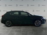 2026 Lexus UX 300h Base image 5