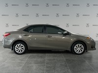 2019 Toyota Corolla LE | Ultra Low KM's