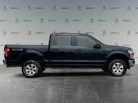 2019 Ford F-150 XLT 4WD SuperCrew 5.5' Box