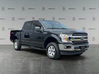 2019 Ford F-150 XLT 4WD SuperCrew 5.5' Box