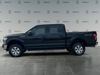 2019 Ford F-150 XLT 4WD SuperCrew 5.5' Box