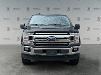 2019 Ford F-150 XLT 4WD SuperCrew 5.5' Box