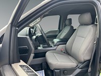 2019 Ford F-150 XLT 4WD SuperCrew 5.5' Box