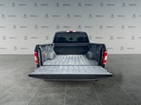 2019 Ford F-150 XLT 4WD SuperCrew 5.5' Box