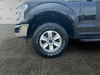 2019 Ford F-150 XLT 4WD SuperCrew 5.5' Box