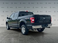 2019 Ford F-150 XLT 4WD SuperCrew 5.5' Box