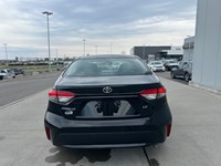 2022 Toyota Corolla LE Upgrade | Low KM's
