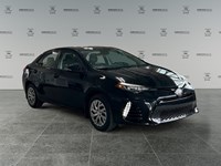 2019 Toyota Corolla SE | Ultra Low KM's