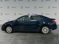 2019 Toyota Corolla LE | Low KM's