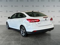 2017 Ford Focus SE | Low KM's