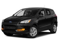 2013 Ford Escape 4WD 4dr SEL Exterior Shot 1
