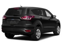 2013 Ford Escape 4WD 4dr SEL Exterior Shot 2